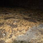 Drowa isolatiechips Muffe geur